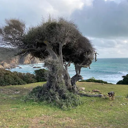 Coru & Bentu Fluminimaggiore