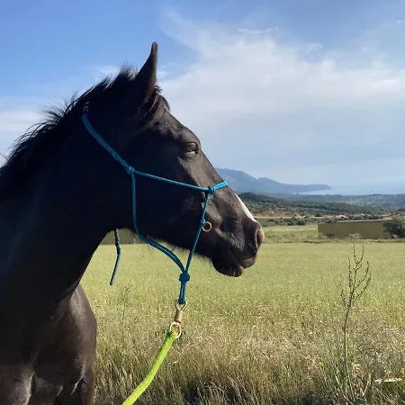 Panzió Coru & Bentu