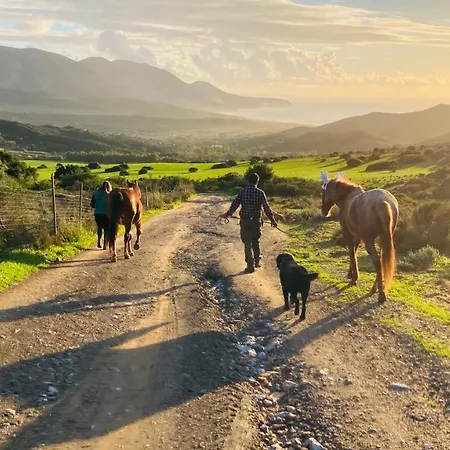 Coru & Bentu Fluminimaggiore