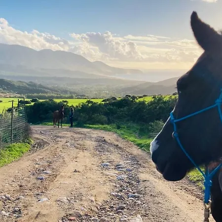 Panzió Coru & Bentu