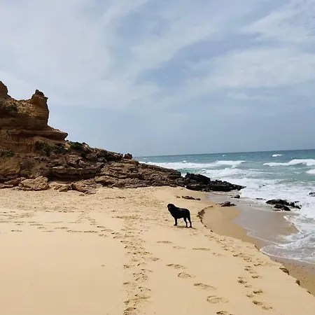 Coru & Bentu Fluminimaggiore