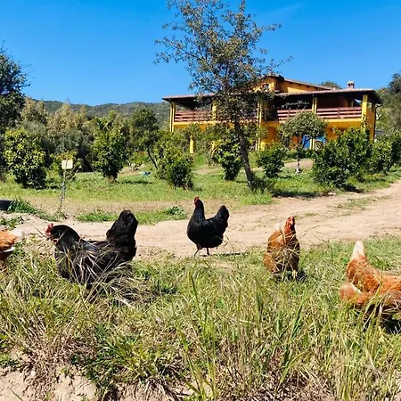 Panzió Coru & Bentu *