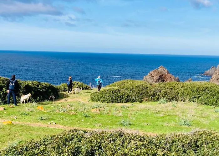 Coru & Bentu * פלומינימאג'ורה