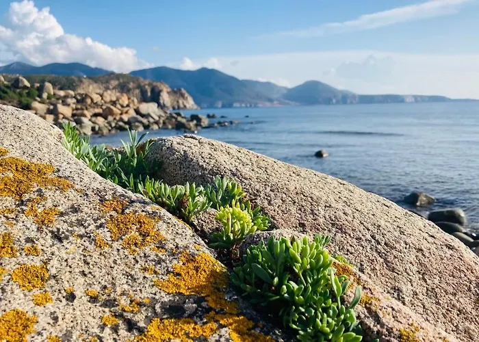 לינה וארוחת בוקר Coru & Bentu