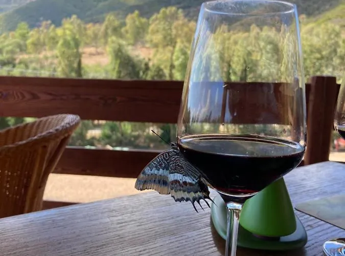 Coru & Bentu Nocleg ze śniadaniem Fluminimaggiore