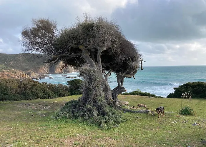 Coru & Bentu Fluminimaggiore