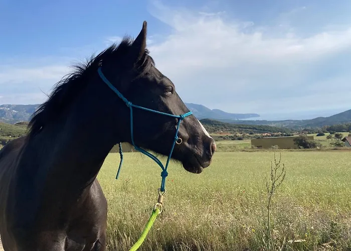 Nocleg ze śniadaniem Coru & Bentu