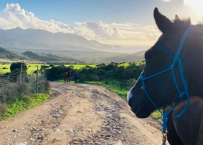 לינה וארוחת בוקר Coru & Bentu