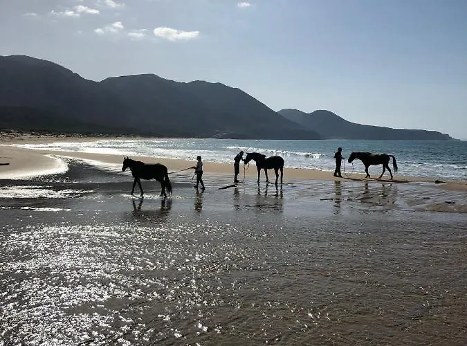 Coru & Bentu Nocleg ze śniadaniem Fluminimaggiore