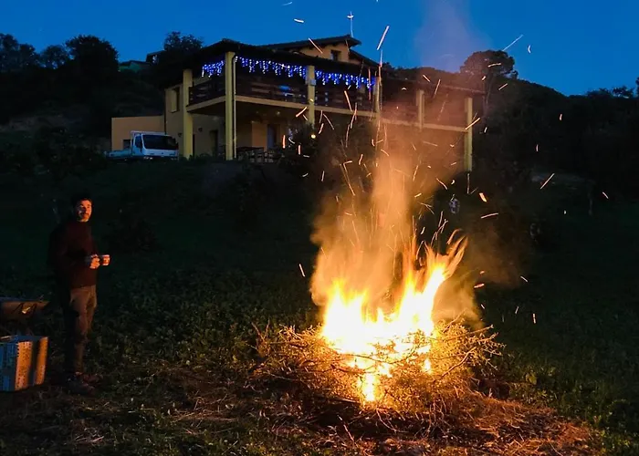 Coru & Bentu * פלומינימאג'ורה